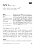 Báo cáo khoa học: A family of killer toxins Exploring the mechanism of ADP-ribosylating toxins