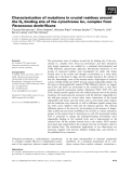 Báo cáo khoa học: Characterization of mutations in crucial residues around the Qo binding site of the cytochrome bc1 complex from Paracoccus denitriﬁcans