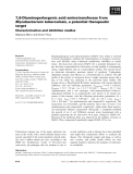 Báo cáo khoa học: 7,8-Diaminoperlargonic acid aminotransferase from Mycobacterium tuberculosis, a potential therapeutic target Characterization and inhibition studies