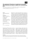 Báo cáo khoa học: The equinatoxin N-terminus is transferred across planar lipid membranes and helps to stabilize the transmembrane pore