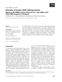 Báo cáo khoa học: Diversity of human U2AF splicing factors Based on the EMBO Lecture delivered on 7 July 2005 at the 30th FEBS Congress in Budapest