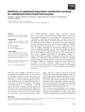 Báo cáo khoa học: Inhibition of cobalamin-dependent methionine synthase by substituted benzo-fused heterocycles