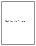 Ngõ hẹp của Agency