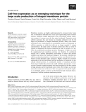 Báo cáo khoa học:  Cell-free expression as an emerging technique for the large scale production of integral membrane protein
