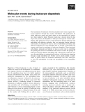 Báo cáo khoa học: Molecular events during leukocyte diapedesis