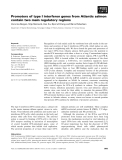 Báo cáo khoa học: Promoters of type I interferon genes from Atlantic salmon contain two main regulatory regions