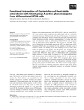 Báo cáo khoa học: Functional interaction of Escherichia coli heat-labile enterotoxin with blood group A-active glycoconjugates from differentiated HT29 cells