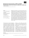 Báo cáo khoa học: Biochemical characterization of MelJ and MelK Myxobacterial enzymes that transform an amide into a methyl ester