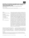 Báo cáo khoa học: Activation of activating transcription factor 2 by p38 MAP kinase during apoptosis induced by human amylin in cultured pancreatic b-cells
