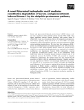 Báo cáo khoa học: A novel N-terminal hydrophobic motif mediates constitutive degradation of serum- and glucocorticoidinduced kinase-1 by the ubiquitin–proteasome pathway