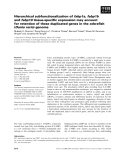 Báo cáo khoa học: Hierarchical subfunctionalization of fabp1a, fabp1b and fabp10 tissue-speciﬁc expression may account for retention of these duplicated genes in the zebraﬁsh (Danio rerio) genome