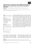 Báo cáo khoa học: Agrobacterium tumefaciens type II NADH dehydrogenase Characterization and interactions with bacterial and thylakoid membranes