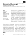 Báo cáo khoa học: Characterization of DNA transport in the thermophilic bacterium Thermus thermophilus HB27