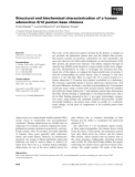 Báo cáo khoa học: Structural and biochemical characterization of a human adenovirus 2/12 penton base chimera