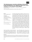 Báo cáo khoa học: The Saccharomyces cerevisiae orthologue of the human protein phosphatase 4 core regulatory subunit R2 confers resistance to the anticancer drug cisplatin