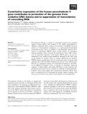 Báo cáo khoa học: Constitutive expression of the human peroxiredoxin V gene contributes to protection of the genome from oxidative DNA lesions and to suppression of transcription of noncoding DNA