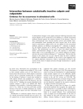 Báo cáo khoa học: Interaction between catalytically inactive calpain and calpastatin Evidence for its occurrence in stimulated cells
