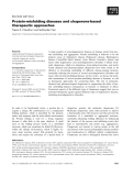 Báo cáo khoa học:  Protein-misfolding diseases and chaperone-based therapeutic approaches