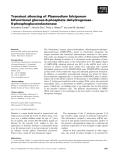 Báo cáo khoa học: Transient silencing of Plasmodium falciparum bifunctional glucose-6-phosphate dehydrogenase) 6-phosphogluconolactonase