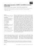 Báo cáo khoa học: Differential expression of eIF5A-1 and eIF5A-2 in human cancer cells