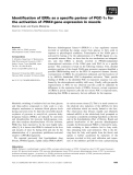 Báo cáo khoa học: Identiﬁcation of ERRa as a speciﬁc partner of PGC-1a for the activation of PDK4 gene expression in muscle