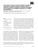 Báo cáo khoa học: The crystal structure of a plant 2C-methyl-D-erythritol 4-phosphate cytidylyltransferase exhibits a distinct quaternary structure compared to bacterial homologues and a possible role in feedback regulation for cytidine monophosphate