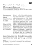 Báo cáo khoa học: Extraenzymatic functions of the dipeptidyl peptidase IV-related proteins DP8 and DP9 in cell adhesion, migration and apoptosis