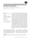 Báo cáo khoa học: The essential tyrosine-containing loop conformation and the role of the C-terminal multi-helix region in eukaryotic phenylalanine ammonia-lyases