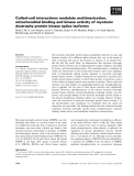 Báo cáo khoa học: Coiled–coil interactions modulate multimerization, mitochondrial binding and kinase activity of myotonic dystrophy protein kinase splice isoforms