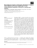 Báo cáo khoa học: Benzo[a]pyrene impairs b-adrenergic stimulation of adipose tissue lipolysis and causes weight gain in mice A novel molecular mechanism of toxicity for a common food pollutant