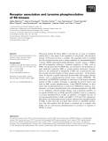 Báo cáo khoa học: Receptor association and tyrosine phosphorylation of S6 kinases
