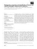 Báo cáo khoa học: Phylogenetic comparison and classiﬁcation of laccase and related multicopper oxidase protein sequences