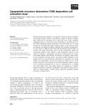 Báo cáo khoa học: Lipopeptide structure determines TLR2 dependent cell activation level