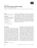 Báo cáo khoa học: The Yin and Yang of protein folding