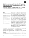 Báo cáo khoa học: Hairpin ribozymes in combination with siRNAs against highly conserved hepatitis C virus sequence inhibit RNA replication and protein translation from hepatitis C virus subgenomic replicons