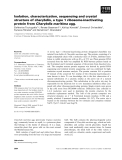 Báo cáo khoa học: Isolation, characterization, sequencing and crystal structure of charybdin, a type 1 ribosome-inactivating protein from Charybdis maritima agg.