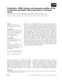 Báo cáo khoa học: Puriﬁcation, cDNA cloning, and expression proﬁles of the cyclobutane pyrimidine dimer photolyase of Xenopus laevis
