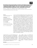 Báo cáo khoa học: Functional characterization of front-end desaturases from trypanosomatids depicts the ﬁrst polyunsaturated fatty acid biosynthetic pathway from a parasitic protozoan