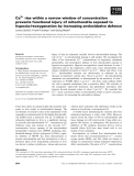 Báo cáo khoa học: Ca2+ rise within a narrow window of concentration prevents functional injury of mitochondria exposed to hypoxia ⁄reoxygenation by increasing antioxidative defence
