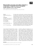 Báo cáo khoa học: Mutual effects of proton and sodium chloride on oxygenation of liganded human hemoglobin Oxygen afﬁnities of the a and b subunits