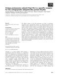 Báo cáo khoa học: Unique proteasome subunit Xrpn10c is a speciﬁc receptor for the antiapoptotic ubiquitin-like protein Scythe