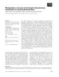 Báo cáo khoa học: Manipulation of prenyl chain length determination mechanism of cis-prenyltransferases