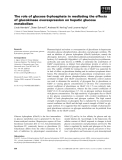 Báo cáo khoa học: The role of glucose 6-phosphate in mediating the effects of glucokinase overexpression on hepatic glucose metabolism