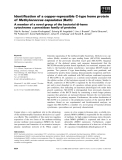 Báo cáo khoa học: Identiﬁcation of a copper-repressible C-type heme protein of Methylococcus capsulatus (Bath) A member of a novel group of the bacterial di-heme cytochrome c peroxidase family of proteins