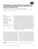 Báo cáo khoa học: Identiﬁcation and characterization of 1-Cys peroxiredoxin from Sulfolobus solfataricus and its involvement in the response to oxidative stress