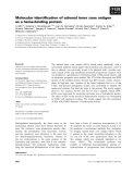 Báo cáo khoa học: Molecular identiﬁcation of adrenal inner zone antigen as a heme-binding protein