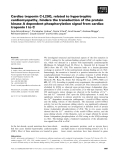 Báo cáo khoa học: Cardiac troponin C-L29Q, related to hypertrophic cardiomyopathy, hinders the transduction of the protein kinase A dependent phosphorylation signal from cardiac troponin I to C