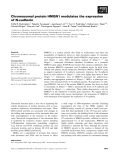 Báo cáo khoa học: Chromosomal protein HMGN1 modulates the expression of N-cadherin