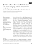 Báo cáo khoa học: Methylene analogues of adenosine 5¢-tetraphosphate Their chemical synthesis and recognition by human and plant mononucleoside tetraphosphatases and dinucleoside tetraphosphatases