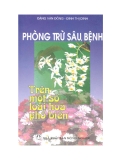 Phòng trừ sâu bệnh trên một số loài hoa phổ biến